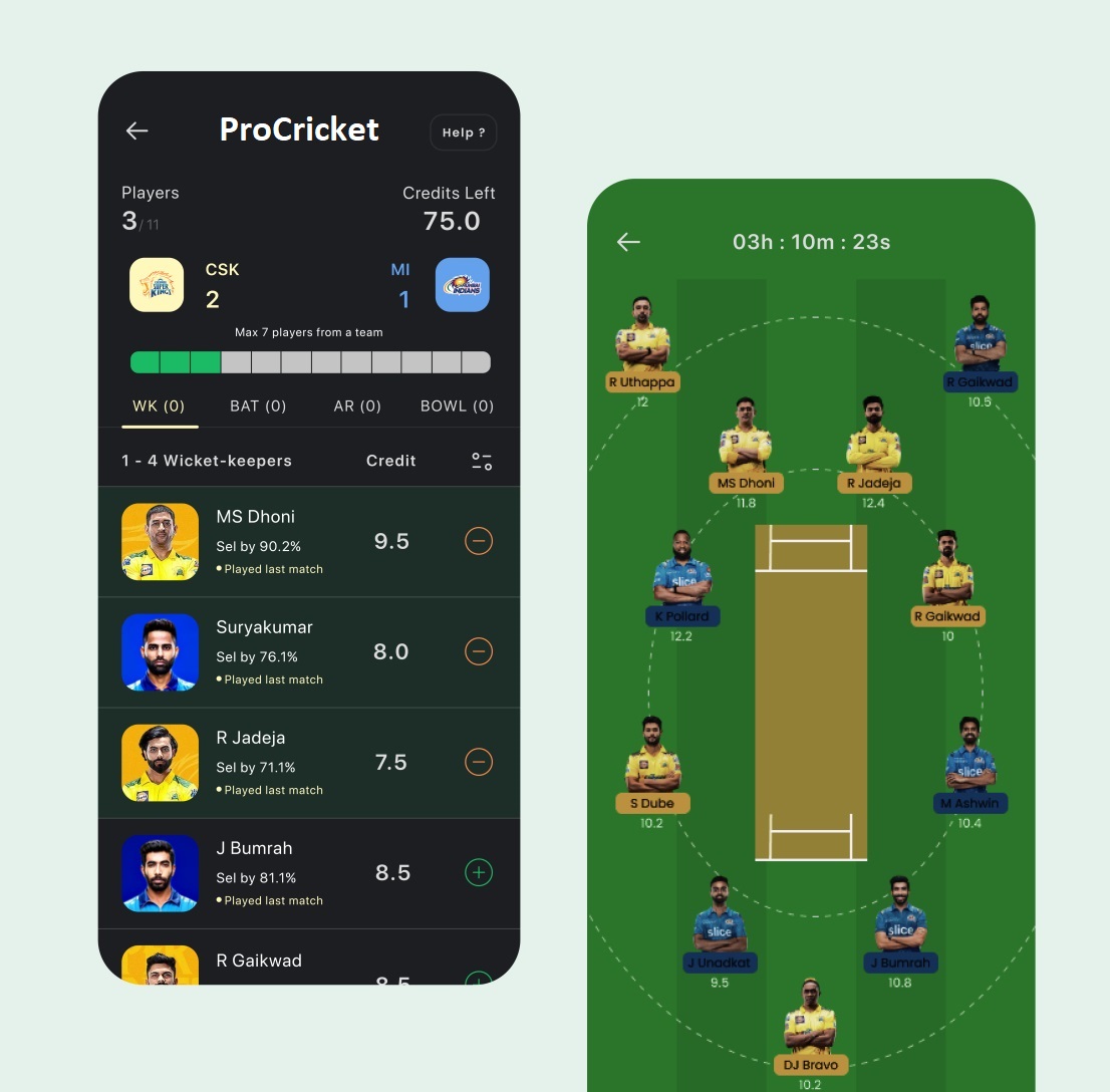 ProCricket App Image 1